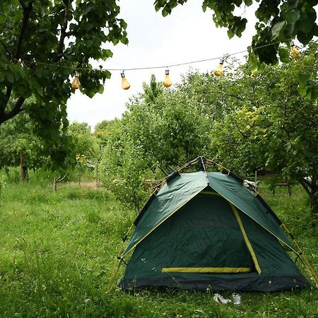 Noosh Guesthouse Ashnak Екстер'єр фото